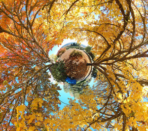 october-autumn-fall-360-180-planet-panorama